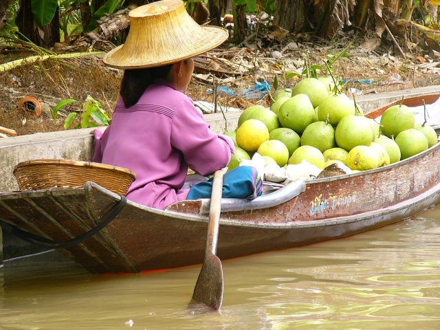 pomelo vendor